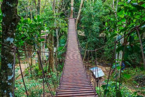 fuyot spring national park|Ilagan Sanctuary: An Easy Nature Escape in Ilagan City, Isabela.